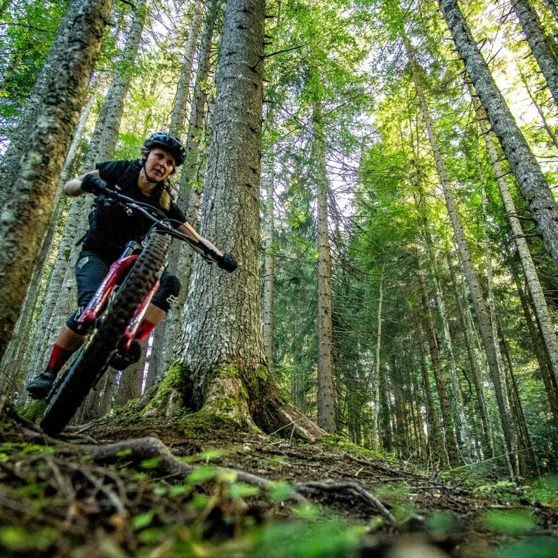 MOUNTAINBIKES & FIETSEN