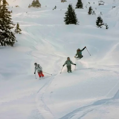 Freeride skiën