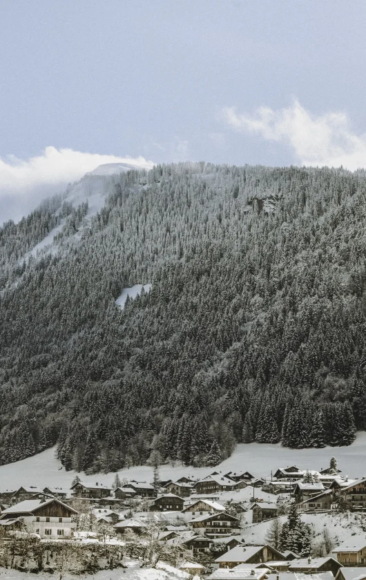 Les Portes du Soleil: Skigebied